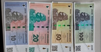 Understanding Zimbabwe’s Currency Scene