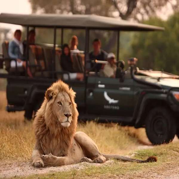 5 days victoria falls and chobe