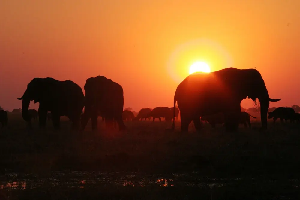 4days-vicfalls-getaway (11) 4days-vicfalls-getaway (11)