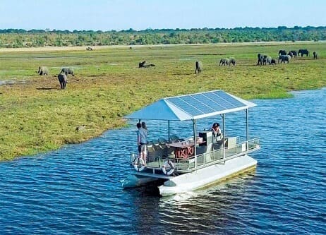chobe day