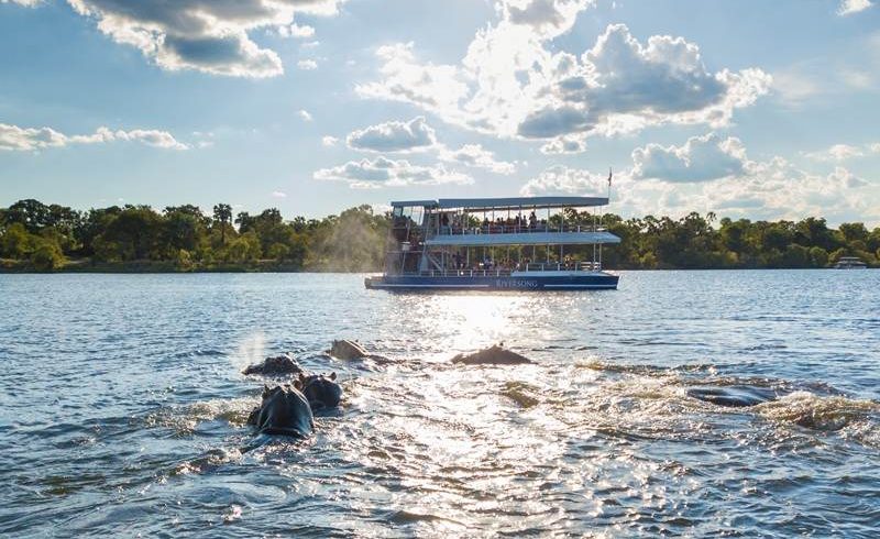 zambezi river sunset cruise