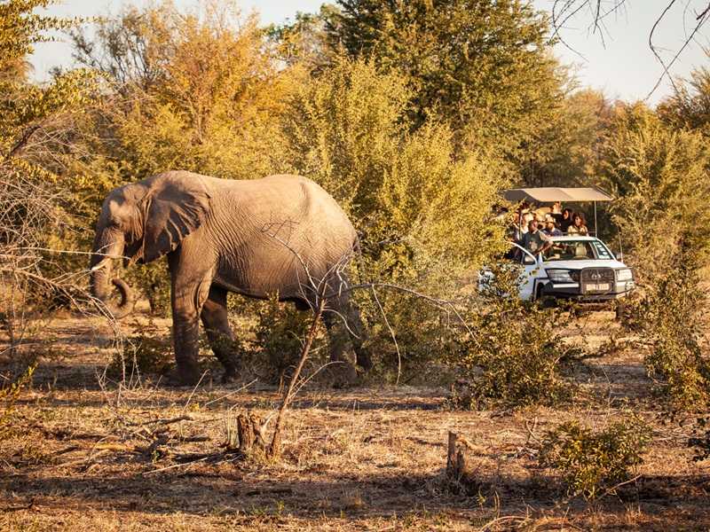 6o to 6 safari in Victoria falls